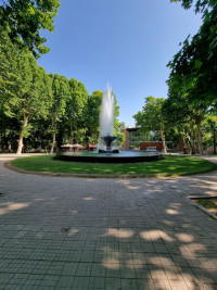 English and Children's Parks